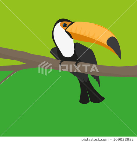 Vector illustration of a toucan sitting on a branch Vector illustration of a toucan sitting on a branch 109028982