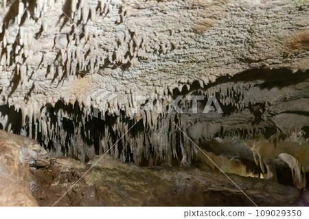 Moravian Karst. Stalactites, stalagmites and streak formations in cave of Balzarca.  109029350