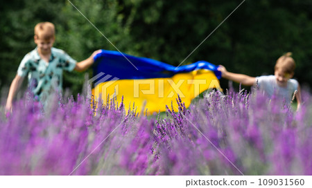Ivano-Frankivsk, Ukraine August 6, 2023 109031560