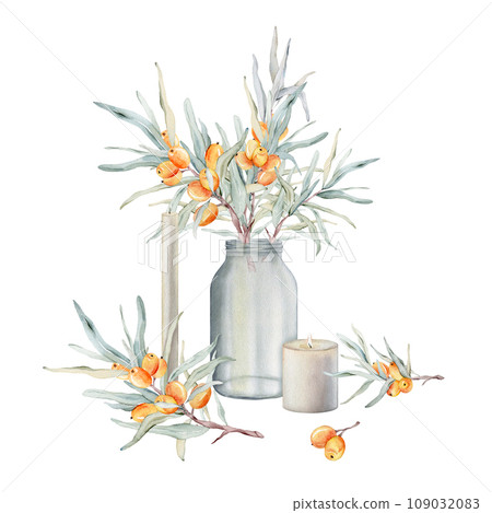 Composition of sea buckthorn branches with berries and a glass vase. Painting art of jar and candle. Watercolor hand drawing illustration on isolate white background. For design home products 109032083