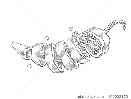 Hot pepper cut into rings. Monochrome cross-sectional drawing of a pepper. Food image for signs, menus, tableware printing and other purposes. Pepper seeds and pulp. For restaurants, grocery stores. Hot pepper cut into rings. Monochrome cross-sectional drawing of a pepper. Food image for signs, menus, tableware printing and other purposes. Pepper seeds and pulp. For restaurants, grocery stores. 109032170