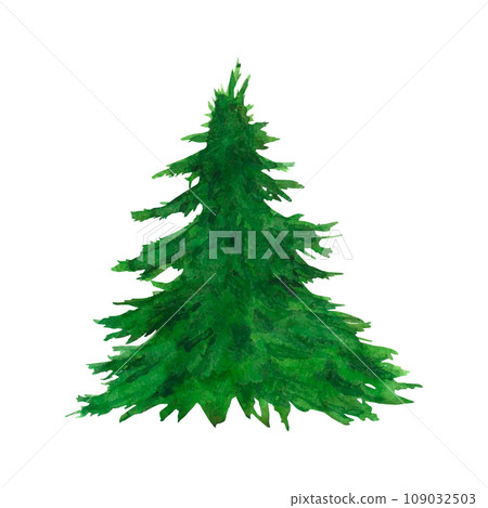 Watercolor illustration Christmas tree. Vector. Winter holiday clip art, evergreen pine. Xmas and New Year green conifer plant elements isolated on white background Watercolor illustration Christmas tree. Vector. Winter holiday clip art, evergreen pine. Xmas and New Year green conifer plant elements isolated on white background 109032503