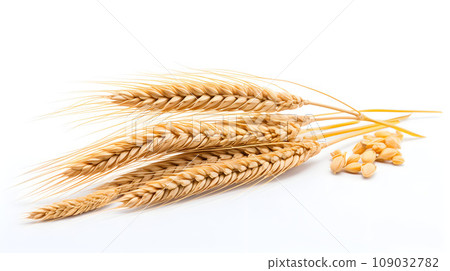 Wheat ears isolated on white background Wheat ears isolated on white background 109032782