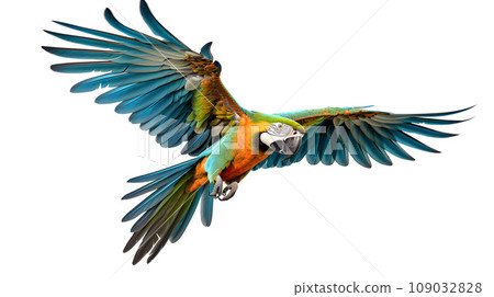military macaw spread open wings military macaw spread open wings 109032828