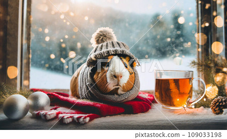 sitting near window in winter with glass of hot tea wering scarf. being sick, having a cold concept.  Cute Guinea Pig,  ai generated 109033198