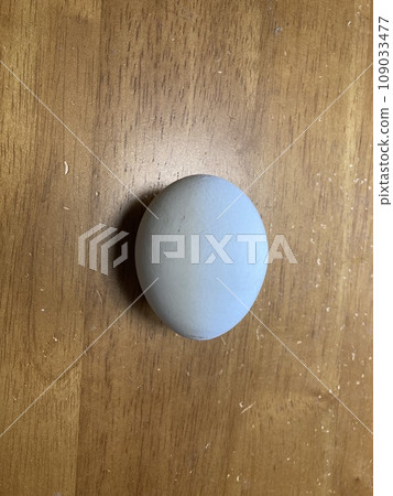 Beautiful light blue eggs from ravens chickens. 109033477