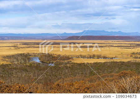 深秋的釧路濕原,從細岡展望台看到的風景,鳥瞰北海道釧路町 深秋的釧路濕原,從細岡展望台看到的風景,鳥瞰北海道釧路町 109034673