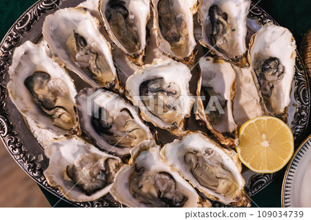 Top view of dozen opened fresh raw oysters in shells with lemon slice in silver pewter serving tray. Luxury expensive delicates seafood in a restaurant. Traditional french food culture. Top view of dozen opened fresh raw oysters in shells with lemon slice in silver pewter serving tray. Luxury expensive delicates seafood in a restaurant. Traditional french food culture. 109034739