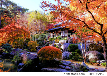 Autumn Tokumeien tea room Autumn Tokumeien tea room 109035952