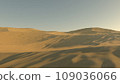 Desert 109036066