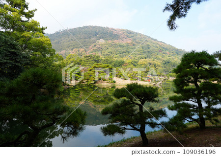 特別名勝栗林公園的秋天(香川縣高松市) 米其林 ★★★ 特別名勝栗林公園的秋天(香川縣高松市) 米其林 ★★★ 109036196