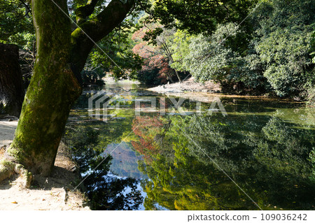特別名勝栗林公園的秋天（香川縣高松市） 米其林 ★★★ 109036242