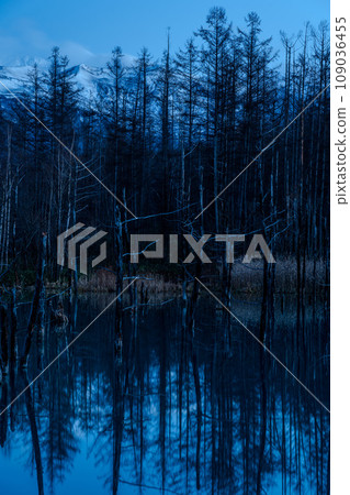 Night view of "Blue Pond" at sunset and clear night sky | Shirokane, Biei-cho, Hokkaido | November 109036455