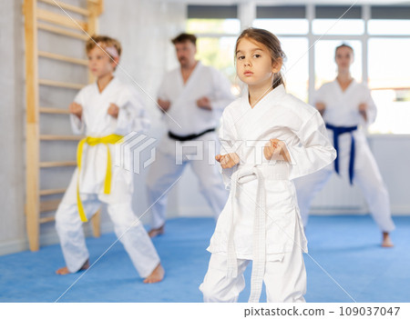 Family with children training karate techniques 109037047
