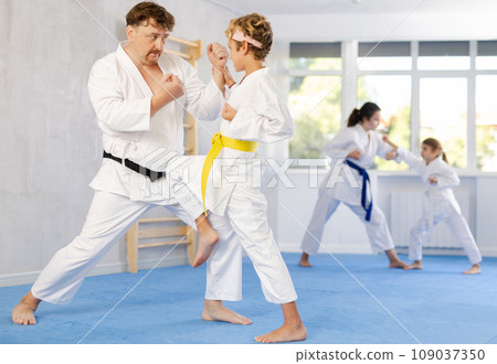 Family repeat position and perform sequence of punches and painful techniques kata 109037350