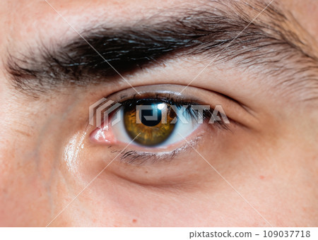 Business image photo that looks into the future. Macro photography of a white man's eyes, iris, and pupils. Close-up AI-generated image. Business image photo that looks into the future. Macro photography of a white man's eyes, iris, and pupils. Close-up AI-generated image. 109037718