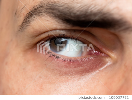 展望未來的商業形象照片。白人眼睛、虹膜和瞳孔的微距攝影。AI 生成的特寫圖像。 109037721