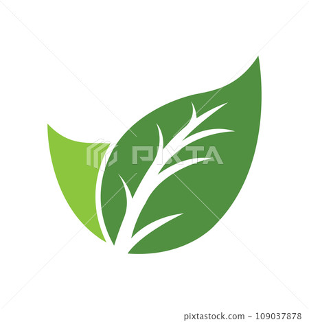 fresh leaf logo fresh leaf logo 109037878