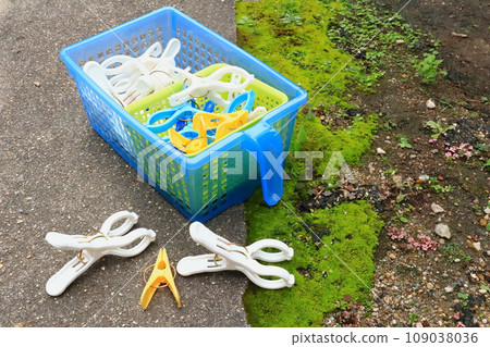 Clothespins Clothespins 109038036