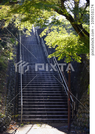 Stairs leading to Konpira Shrine Stairs leading to Konpira Shrine 109038174