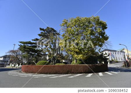 Sakuragaoka Rotary 109038452