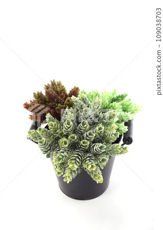 black metal flower pot with artificial plant isolated on white background black metal flower pot with artificial plant isolated on white background 109038703
