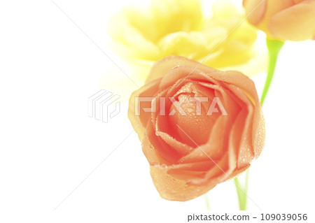 bright orange and yellow roses 109039056