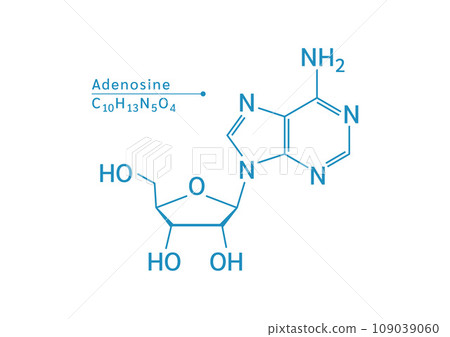 Adenosine structural chemical formula isolated on white background. Vector EPS10 illustration. Caffeine is a central nervous system stimulant. Medical and scientific concepts. Adenosine structural chemical formula isolated on white background. Vector EPS10 illustration. Caffeine is a central nervous system stimulant. Medical and scientific concepts. 109039060