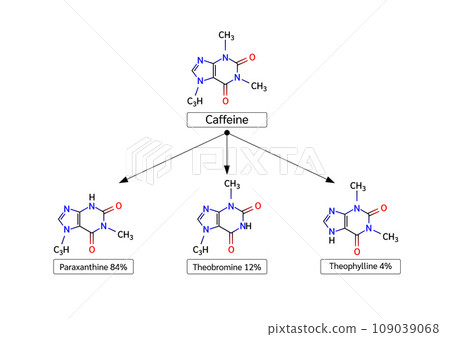 Caffeine structural chemical formula. Coffee isolated on white background. Vector EPS10 illustration. Caffeine is a central nervous system stimulant. Medical and scientific concepts. 109039068
