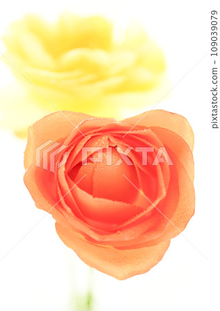bright orange and yellow roses bright orange and yellow roses 109039079