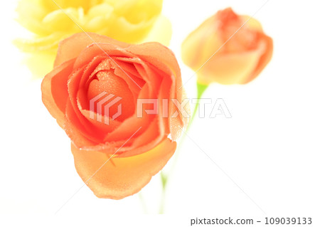 bright orange and yellow roses bright orange and yellow roses 109039133