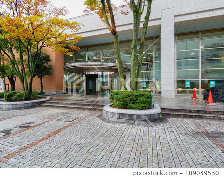 library with glass entrance 109039530