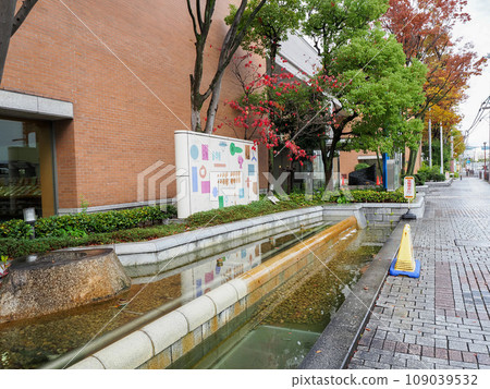 autumn library 109039532