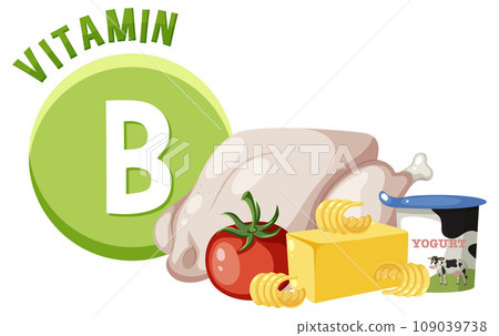 Group of Vitamin B-Rich Foods in Vector Illustration Group of Vitamin B-Rich Foods in Vector Illustration 109039738