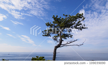 可以看到大海的小鎮 109039890