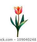 紅色鬱金香的水彩插圖 109040248