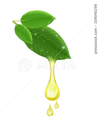 Oil drop from fresh green Kratom leaf or Mitragyna speciosa. Plant herbal alternative, narcotics, painkiller. Medical concept. Realistic 3D vector. Isolated on white background Oil drop from fresh green Kratom leaf or Mitragyna speciosa. Plant herbal alternative, narcotics, painkiller. Medical concept. Realistic 3D vector. Isolated on white background 109040299