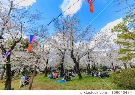 東京北區飛鳥山公園櫻花盛開 109040454