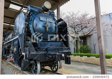 櫻花盛開的東京北區飛鳥山公園（蒸氣機車D51） 109040472