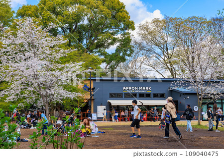 櫻花盛開的東京北區飛鳥山公園（咖啡廳餐廳） 109040475