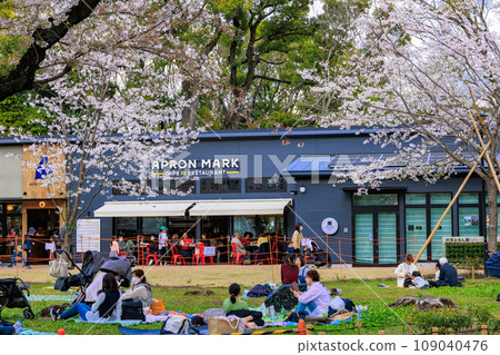 櫻花盛開的東京北區飛鳥山公園(咖啡廳餐廳) 櫻花盛開的東京北區飛鳥山公園(咖啡廳餐廳) 109040476