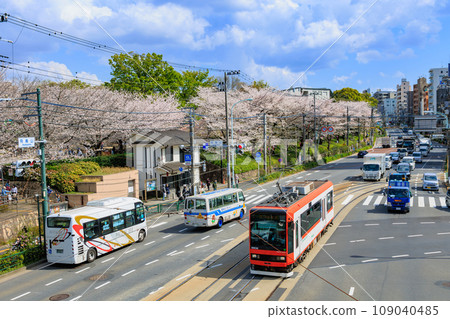 東京北區：飛鳥山公園和櫻花盛開的東京櫻花電車 109040485