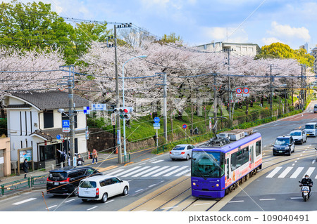 東京北區:飛鳥山公園和櫻花盛開的東京櫻花電車 東京北區:飛鳥山公園和櫻花盛開的東京櫻花電車 109040491