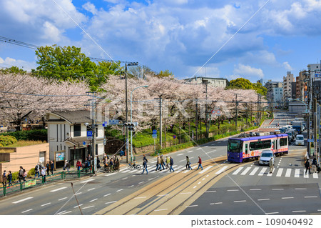 東京北區：飛鳥山公園和櫻花盛開的東京櫻花電車 109040492