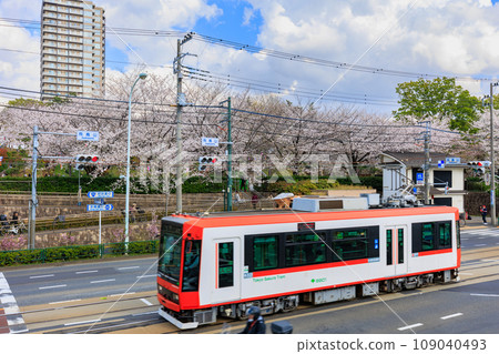 東京北區:飛鳥山公園和櫻花盛開的東京櫻花電車 東京北區:飛鳥山公園和櫻花盛開的東京櫻花電車 109040493