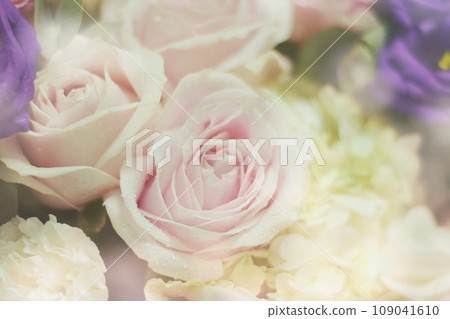 Close up beautiful Pink rose flower bouquet Close up beautiful Pink rose flower bouquet 109041610