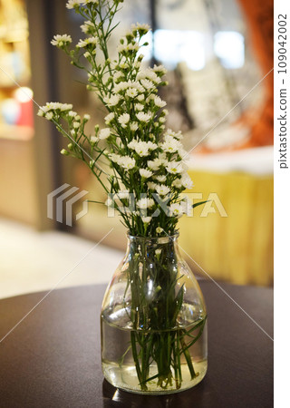 gypso cutter flowers in glass on the wooden table gypso cutter flowers in glass on the wooden table 109042002