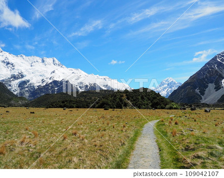 mount cook trekking mount cook trekking 109042107