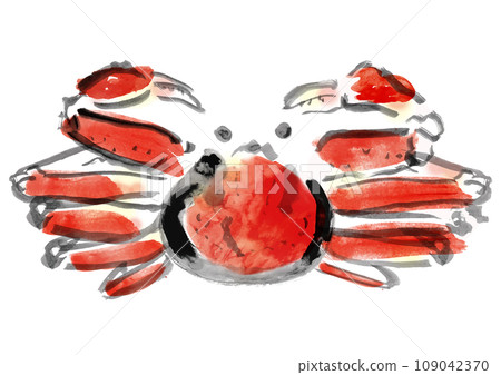 Snow crab Japanese style hand drawn illustration Snow crab Japanese style hand drawn illustration 109042370