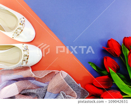 white ballet flat lady shoes on red and blue background 109042631